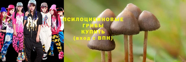 спайс Алексин