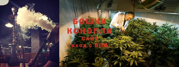прущие грибы Алзамай