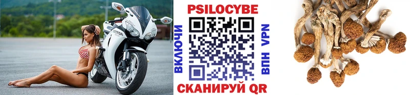 Галлюциногенные грибы GOLDEN TEACHER  Купить закладки  Ставрополь 